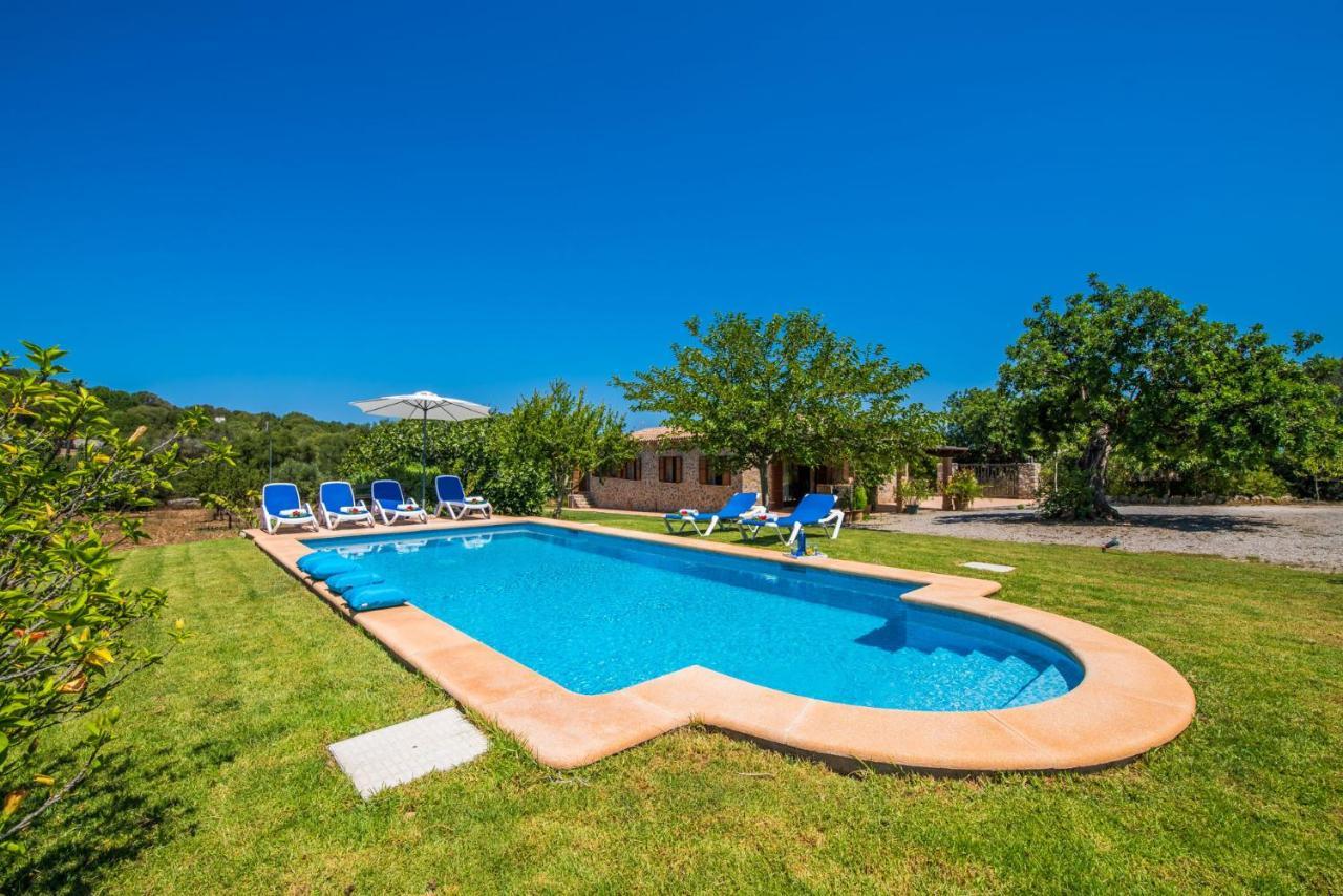 Ideal Mallorca - Mamici *